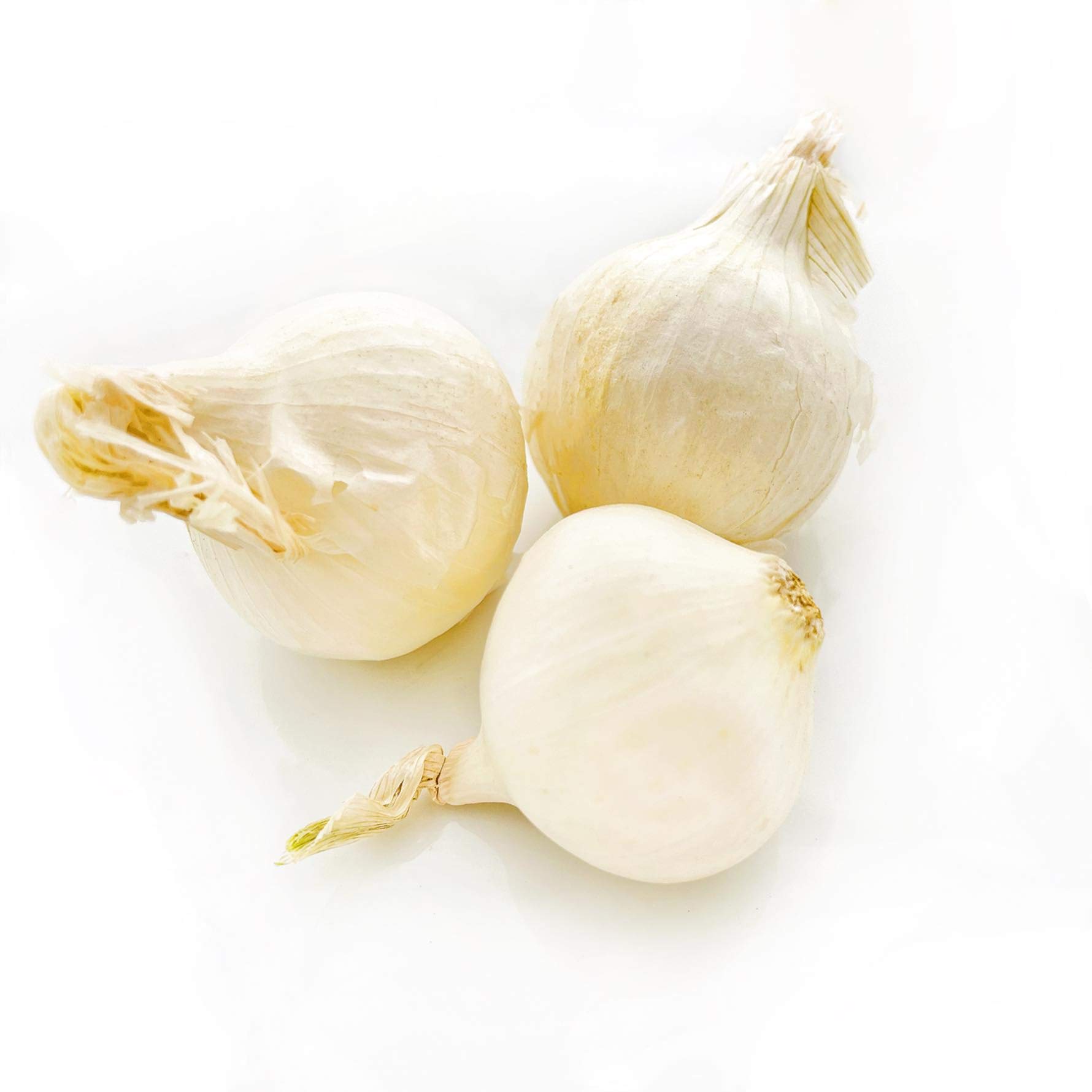 Fresh Kejora Boiler Onions (4 LB) - Perfect for Soups, Stews, and Pickling - Premium Cooking Onions for Home Chefs