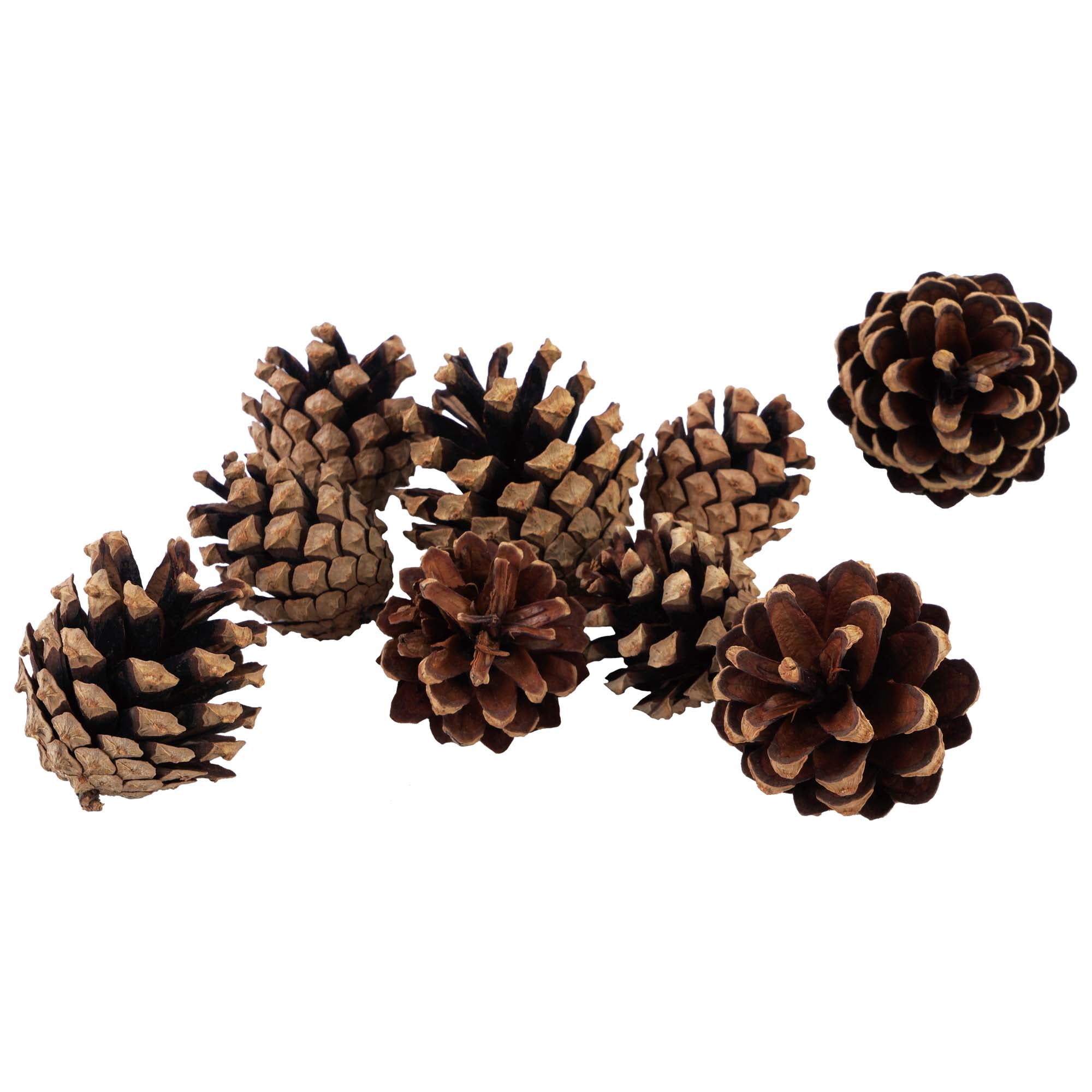 Thanksgiving Pine Cone Table Decor Set - 9 Piece Fall Centerpiece with 2 Styles (3.5