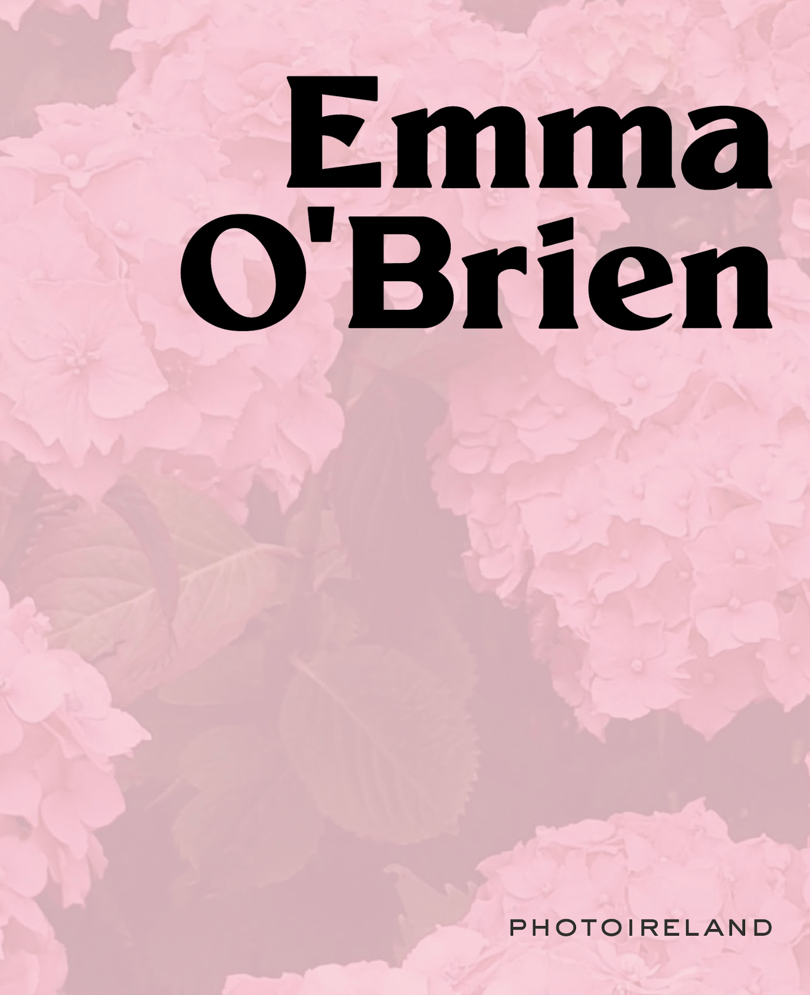 The Holding Place by Emma O'Brien - Contemporary Fiction Novel for Book Clubs & Relaxing Weekend Reads
