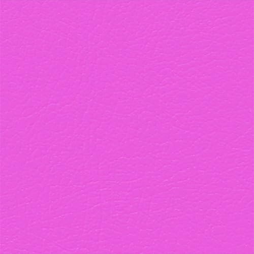 Caribbean Fuchsia
