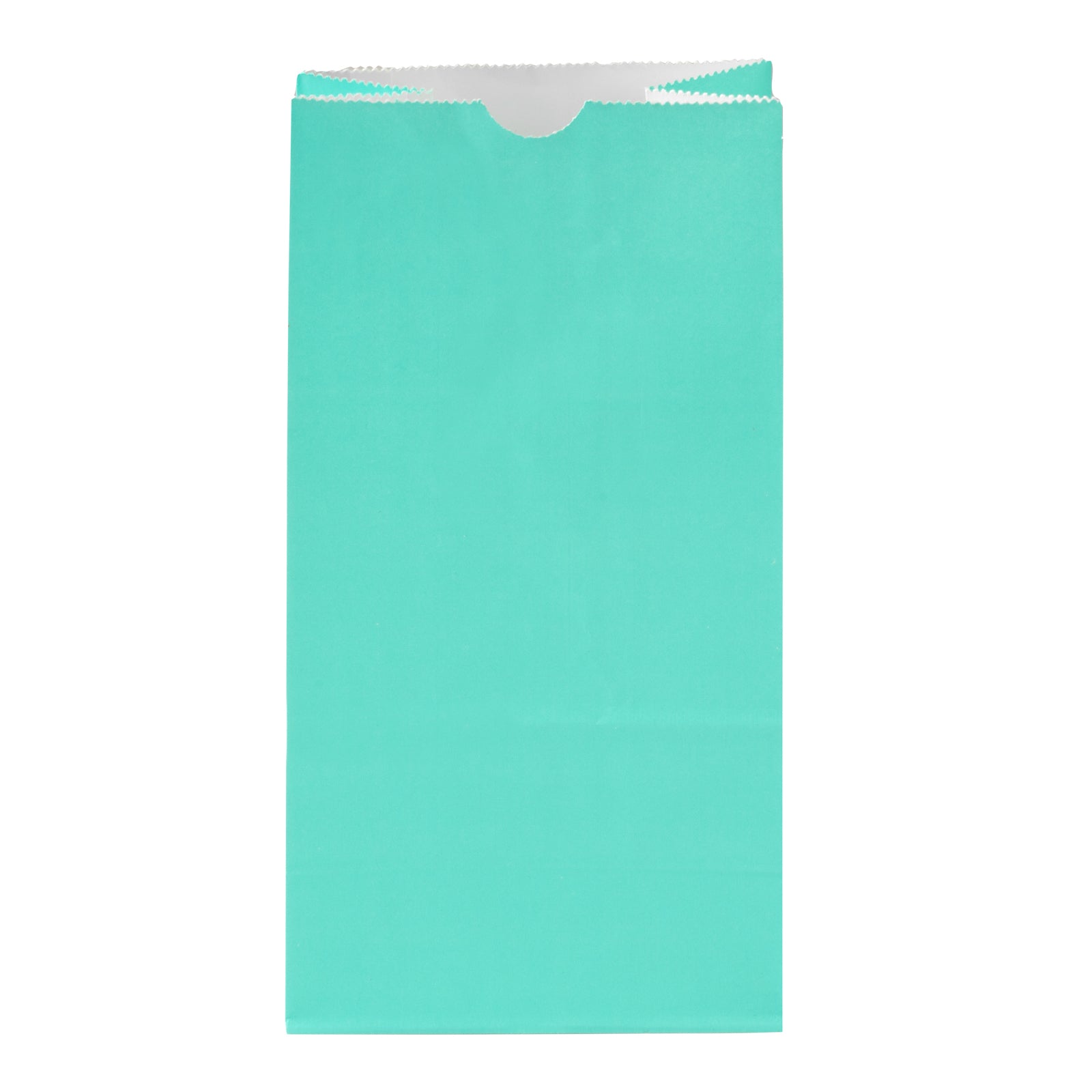 Premium Turquoise Paper Bags - 4 lb Capacity, 5 x 3.25 x 9.5 Inches - Pack of 100 - Perfect for Gift Wrapping, Party Favors & Retail Packaging