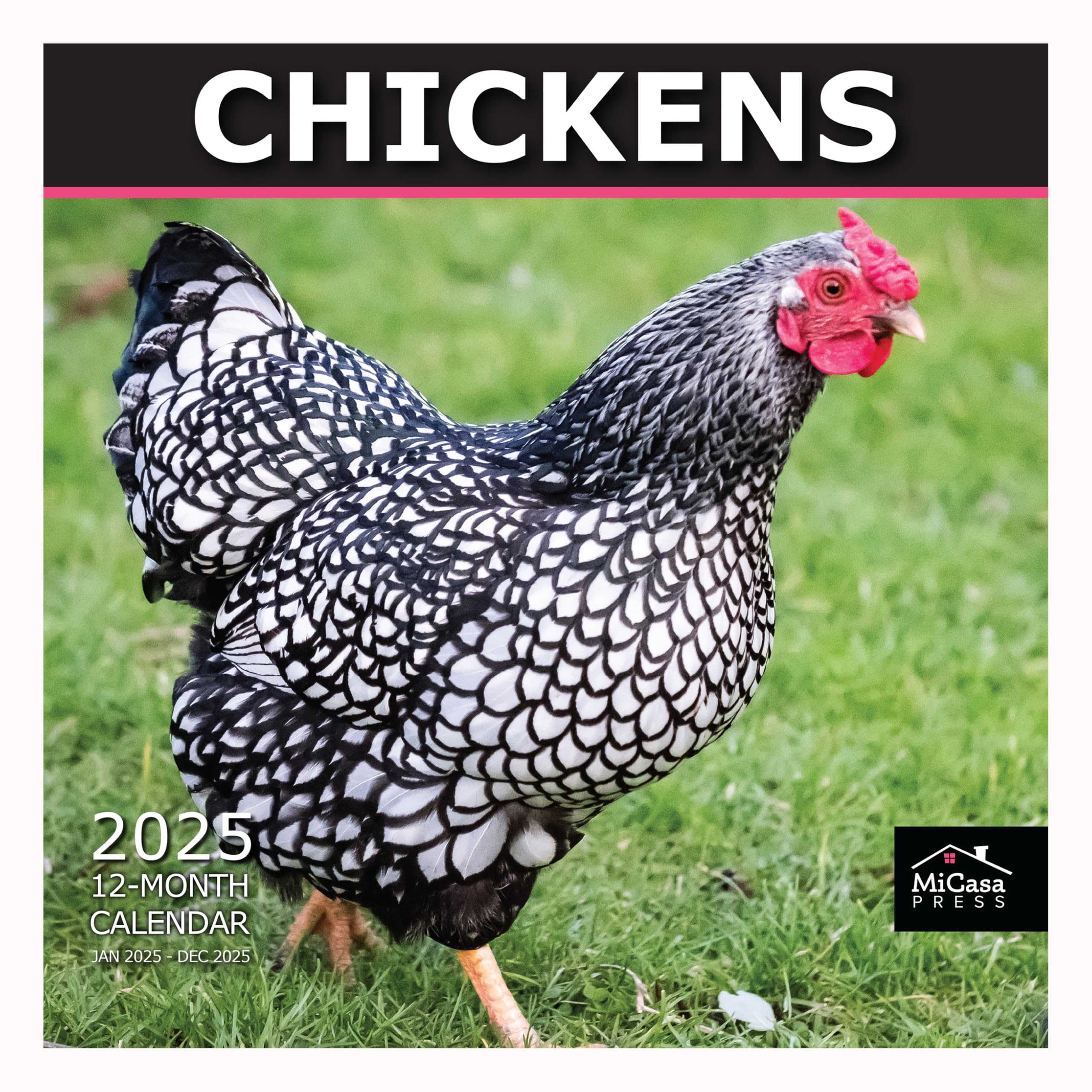 MICASA PRESS - 2025 Chickens Wall Calendar | 12