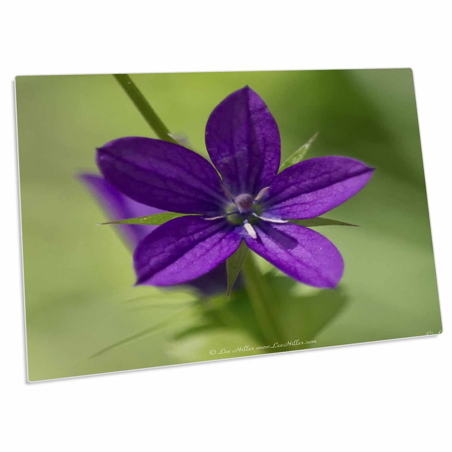 3D Rose Wildflower Venus Looking Glass Desk Pad Place Mats Set - Floral Design for Dining Table, Office Desk, Kitchen Counter - DPD-22861-1 - Perfect for Home Decor, Parties & Gifts