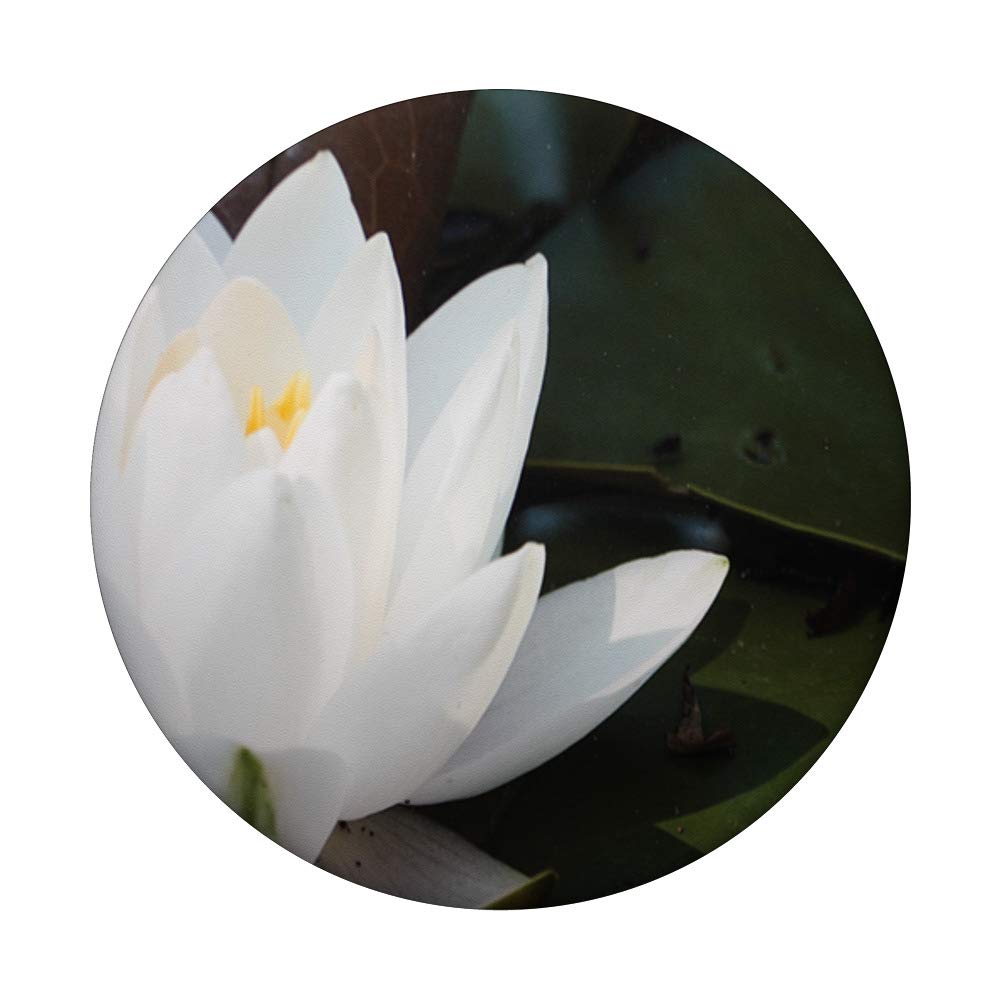 Peaceful Lotus Flower PopSockets PopGrip - Interchangeable Phone Grip for iPhone, Samsung & Tablets | Anti-Slip Handle for Gaming, Photography & Daily Use