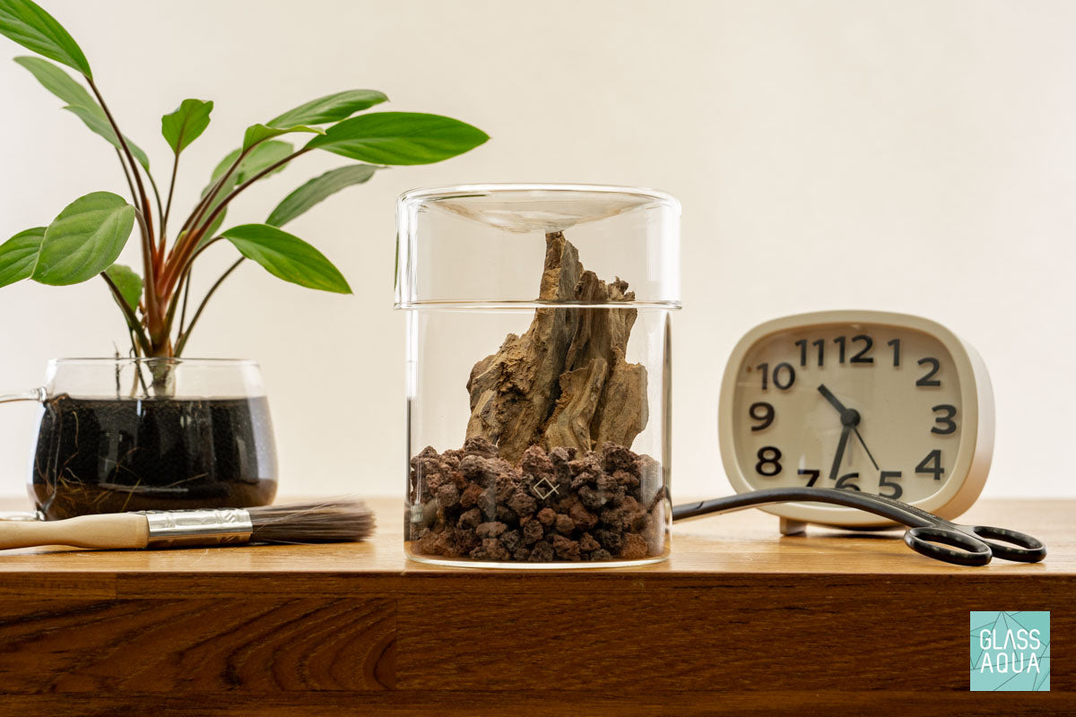 Miniature Terrarium Kit 009 - DIY Glass Garden with Succulents & Moss for Home Decor, Office Desk, or Gift Idea | Creative Indoor Gardening Project for Plant Lovers