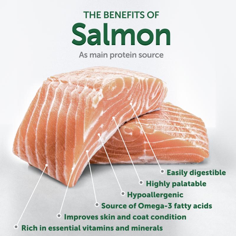 Premium Salmon Dog Food for Small Breed Puppies - Supports Healthy Red Coat & Growth - Perfect for Training & Daily Feeding