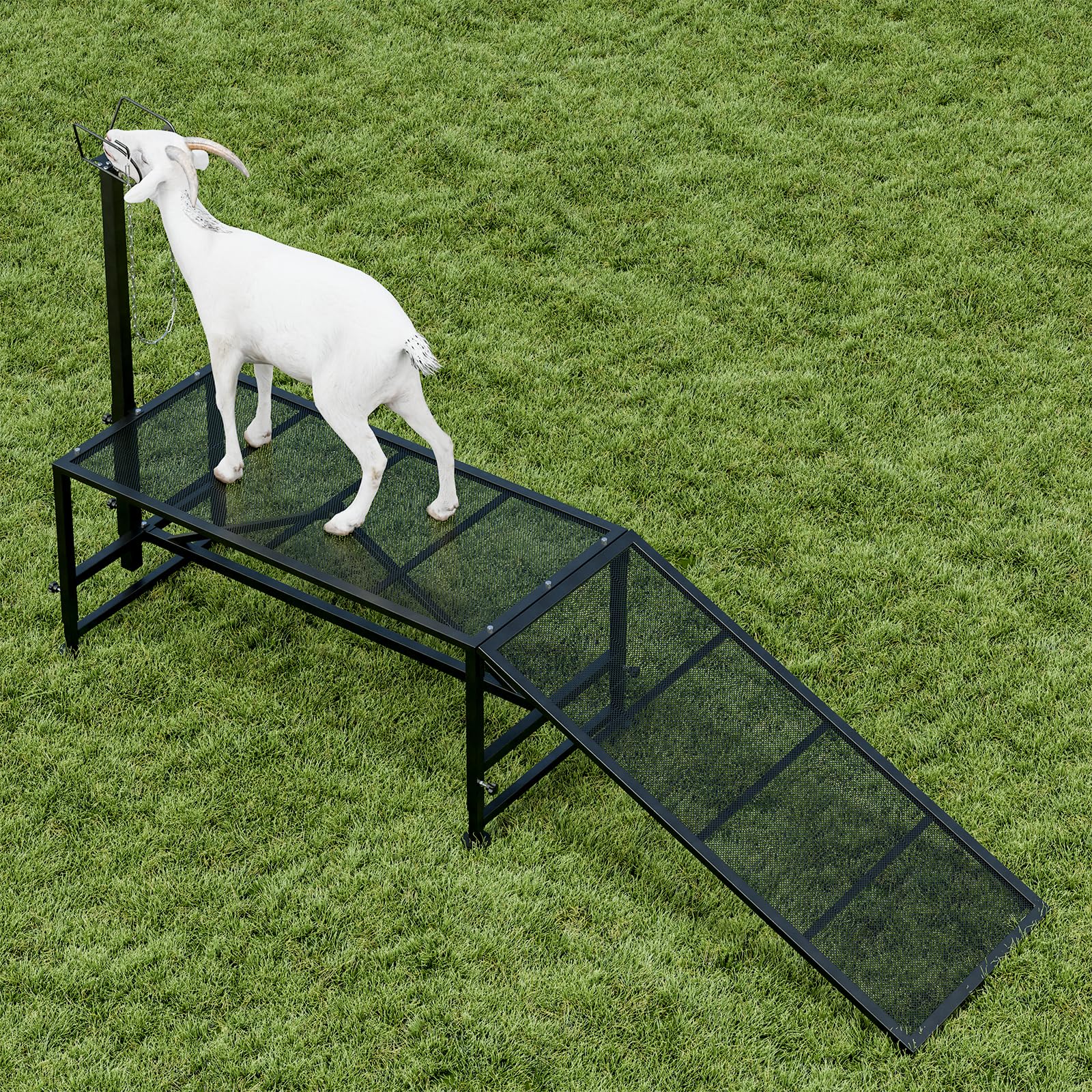 Adjustable Metal Livestock Stand for Sheep & Goat Milking with Ramp - Heavy Duty Hoof Trimming Stand with Secure Headpiece - Perfect for Farm Animal Grooming, Veterinary Care & Dairy Operations