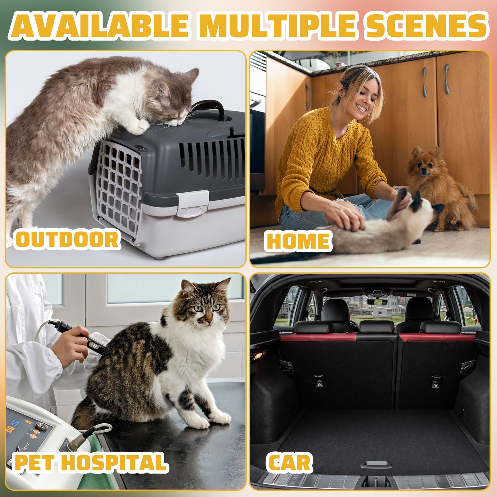Zubebe 50 Pack Disposable Cat Litter Boxes - Large 19.69 x 15.75 x 3.94 Inch Plastic Litter Trays for Indoor Cats, Travel & Home Use - Portable, Lightweight & Convenient (Clear) - Perfect for Daily Use, Camping & Road Trips