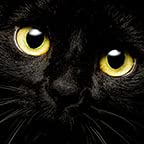 Cat Eyes