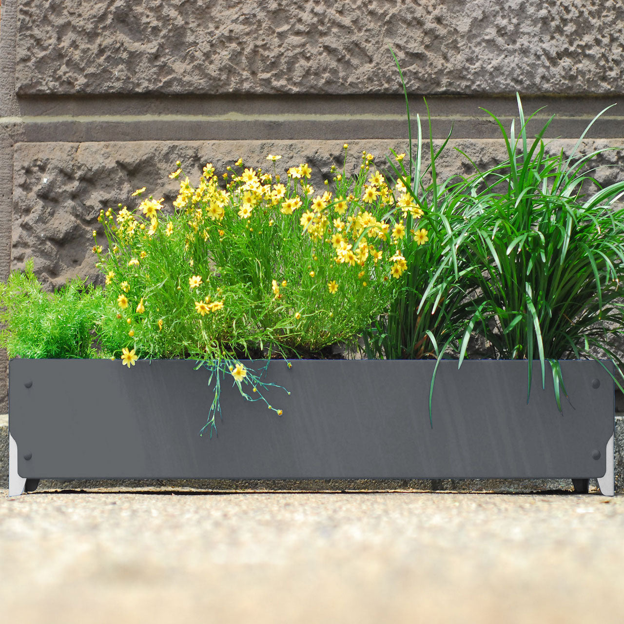 BOLTON Wide Planter Set of 4 - Large Indoor Outdoor Flower Pots for Plants, Succulents & Herbs - Perfect for Patio, Garden, Balcony & Home Decor