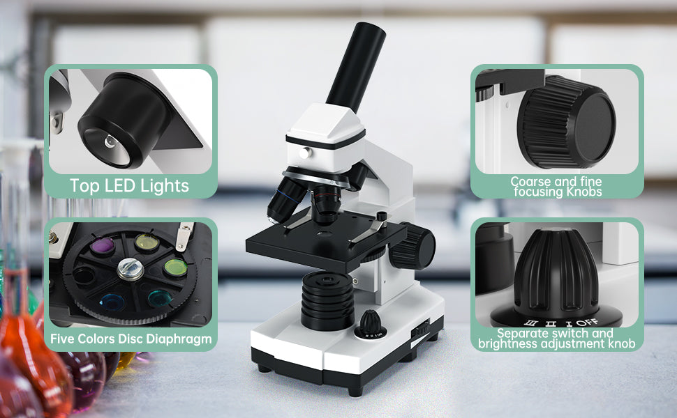 100X-2000X High Power Compound Microscope with Prepared Slides - Perfect for Kids, Students & School Science Labs | Ideal for Biology, Botany & Lab Experiments