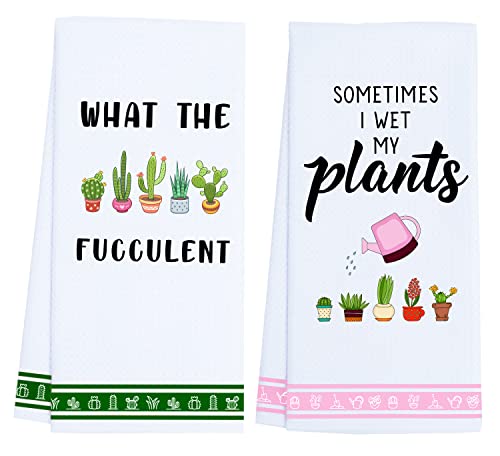 2 Pack-plants
