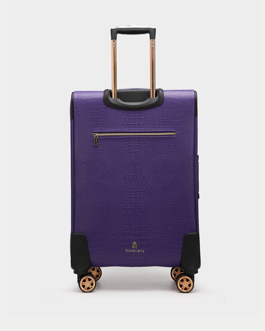 Apollo 2-Piece Luggage Set - 20