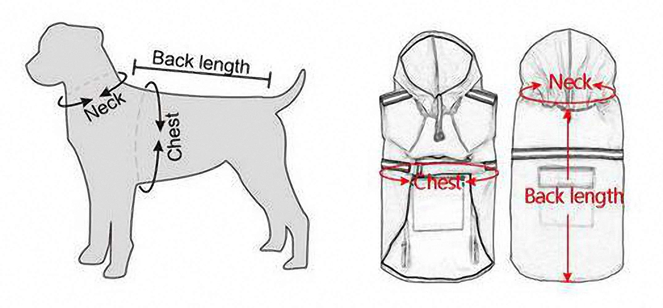 15mm Heavy Duty Silver & Gold Stainless Steel Slip Dog Collar - Adjustable Choke Chain Training Collar for Large Dogs (24 Inch) - Perfect for Obedience Training, Walking & Behavior Correction