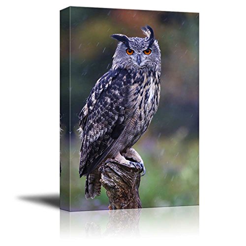 Eurasian Eagle Owl