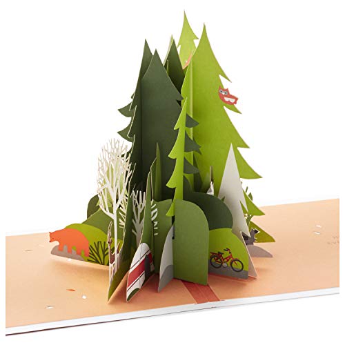 Pop Up, Adventure Awaits