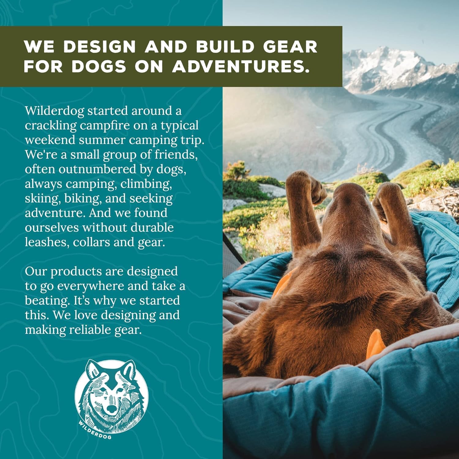 Wilderdog Heavy Duty Carabiner Climbing Rope Dog Leash - 10ft Durable Leash for Medium & Large Dogs - Teton Outdoor Adventure Gear - Perfect for Hiking, Camping & Daily Walks