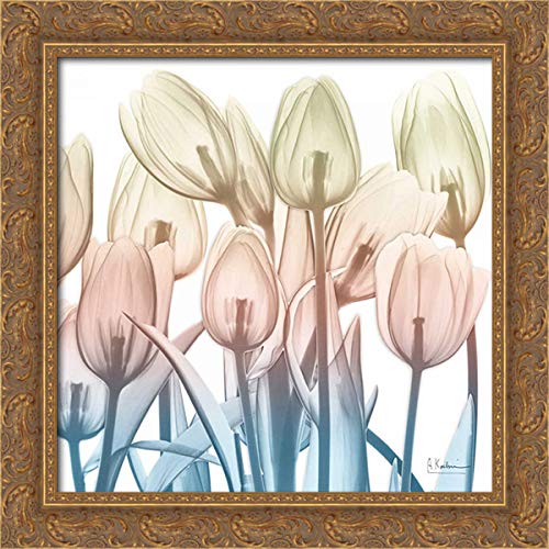 Albert Koetsier 28x28 Gold Ornate Framed Canvas Art Print - Fantastic Bloom 2 Floral Painting | Home Decor, Living Room Wall Art, Office Decoration