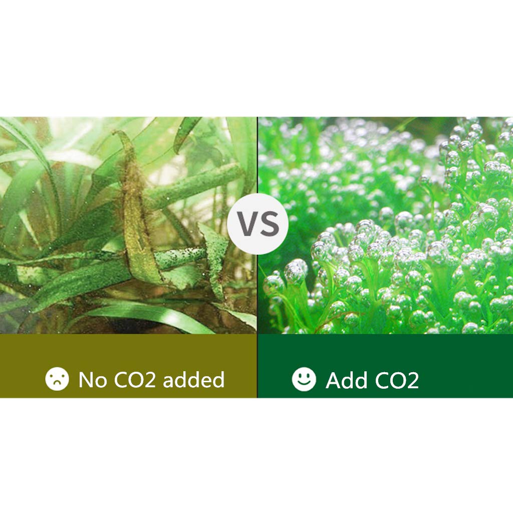 MXBAOHENG CO2 Generator Kit for Aquarium Plants - Carbon Dioxide Reactor System with Manual Valve for Hydroponics, Aquatic Weed & Fish Tanks | Perfect for Freshwater Planted Tanks & Aquatic Ecosystems