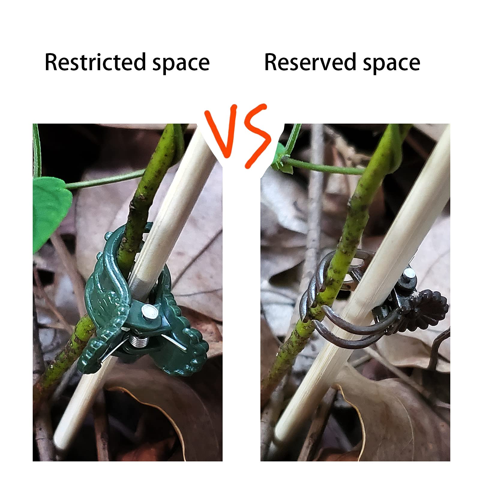 Heeqinn Toothy Orchid Clips - 100pcs Plant Support Clips for Climbing Plants, Vines, and Stems - Secure to Bamboo Stakes, Trellis, or Plant Cages - Perfect for Orchids, Tomatoes, and Garden Support Systems - Indoor & Outdoor Gardening Essentials