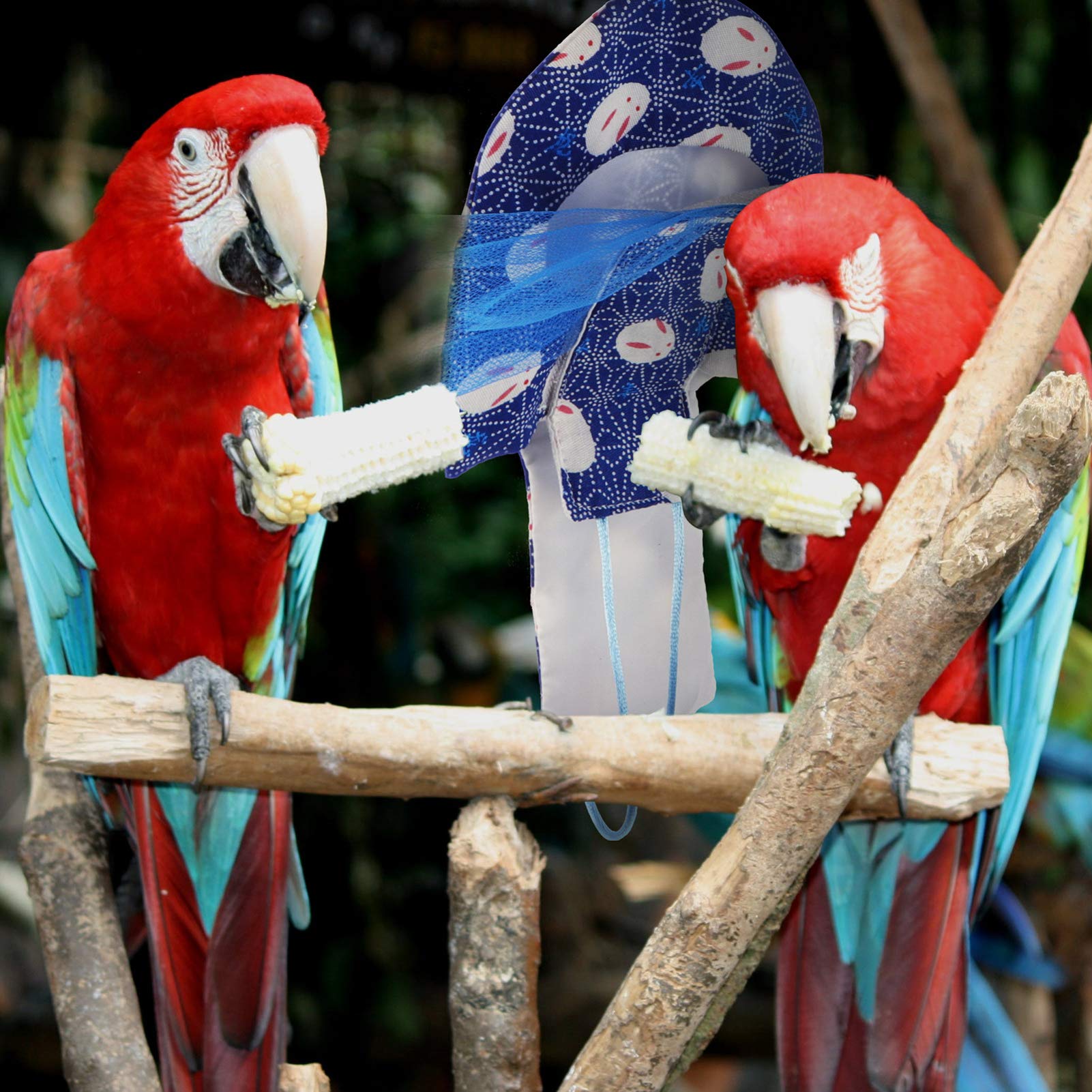 Balacoo Washable & Reusable Bird Diaper - Parrot Flight Suit, Nappy & Pet Clothes for Cockatiels, Lovebirds & Small Birds | Perfect for Travel, Training & Cage-Free Playtime