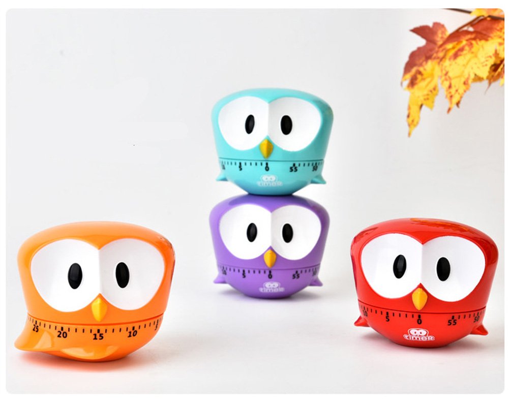 Big Eyed Eagle Cartoon Mechanical Kitchen Timer - 60 Minute Manual Cooking Timer with Loud Alarm, Countdown Clock for Baking, Cooking, and Kitchen Use (Blue)