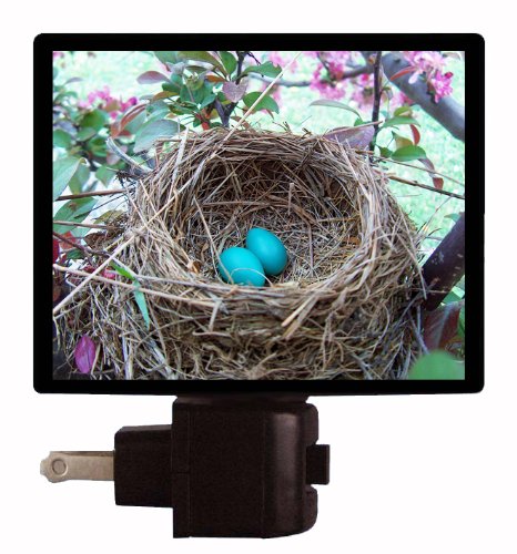 Bird Nest Night Light with Robin Eggs - Energy Efficient LED Night Light for Nursery, Bedroom, or Home Decor | Perfect for Kids Room, Baby Shower Gift, and Relaxing Ambiance