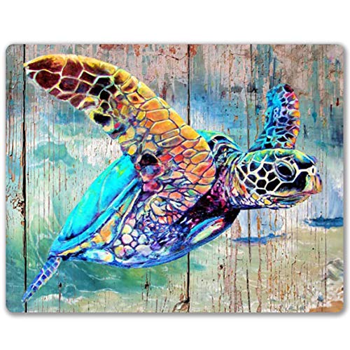 Colored Turtle
