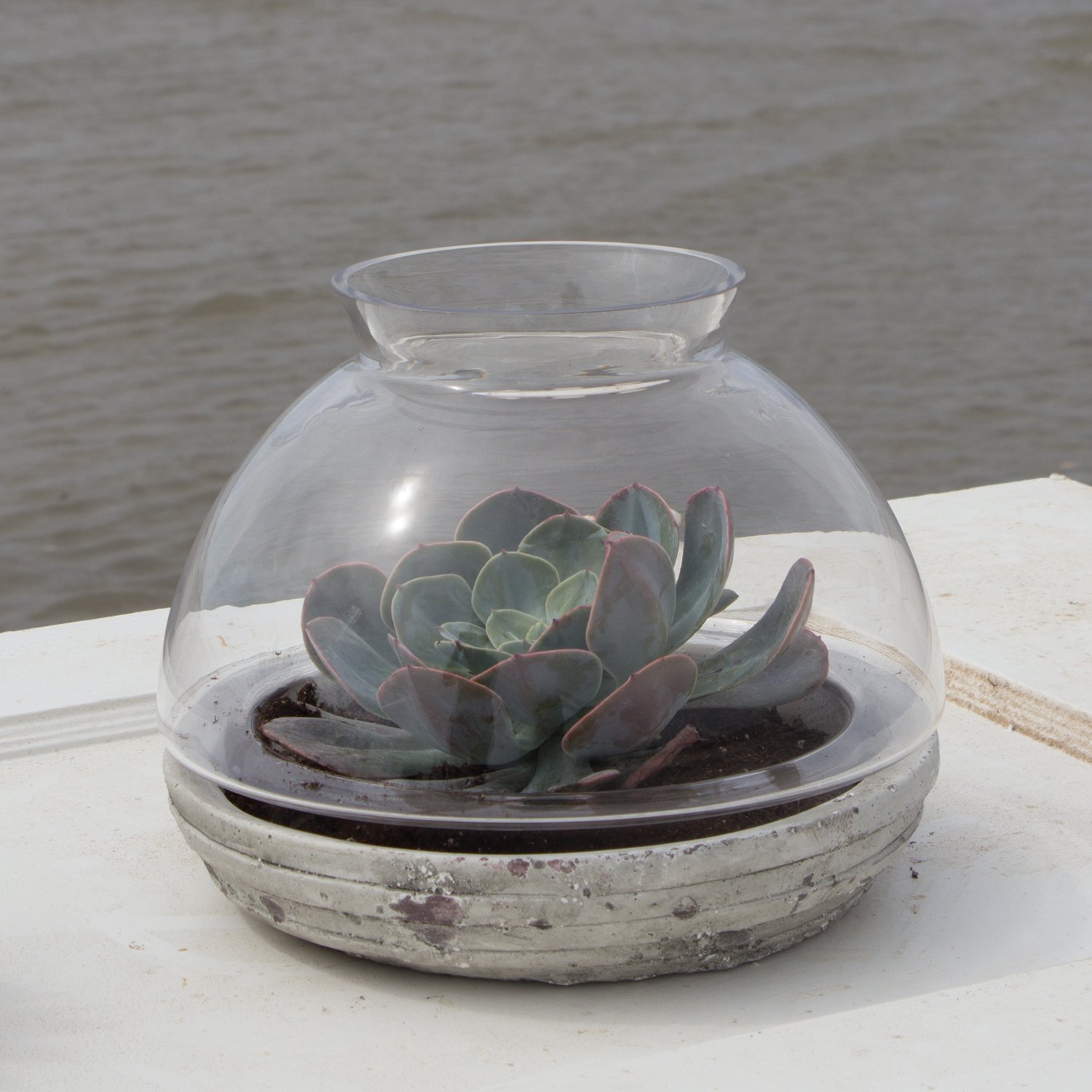 Premium Mixed Material Terrarium for Plants - Large Size | Indoor Garden Decor, Succulent Display, Home & Office Plant Holder