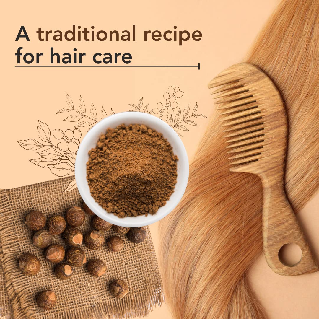 IYURAA PHYTOSCIENCE Natural Hair Care Powder with Reetha - Scalp Treatment for Dandruff & Hair Growth (Pack of 2) | Ayurvedic Shampoo Alternative for Dry & Damaged Hair