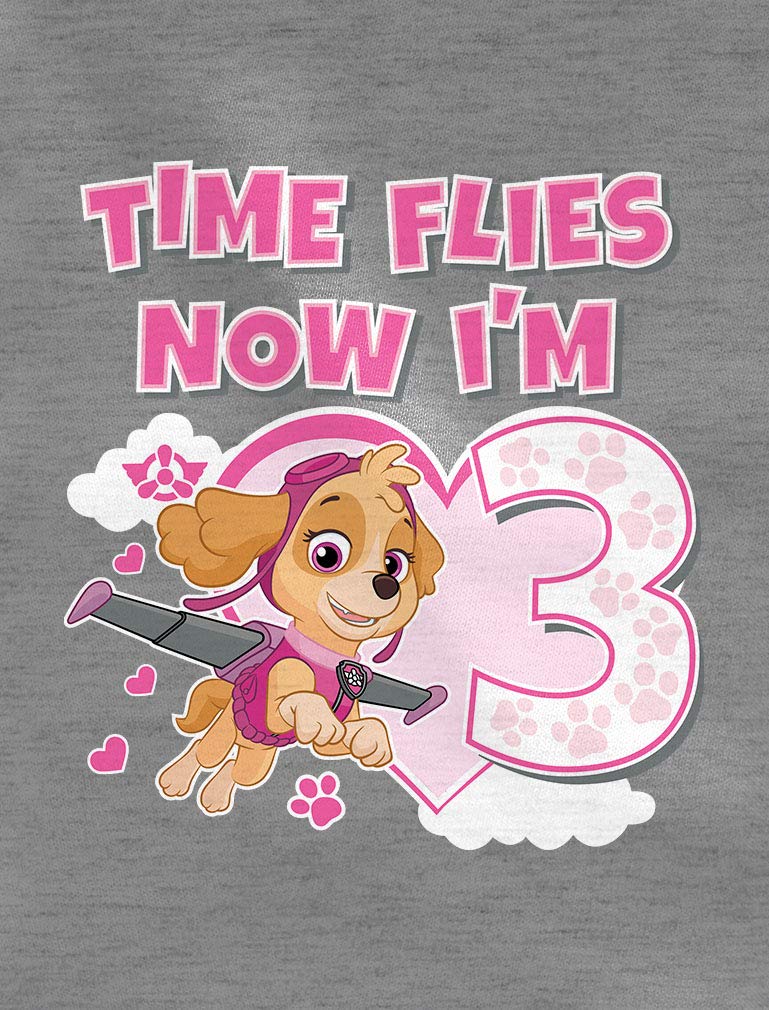 Paw Patrol Skye 3rd Birthday T-Shirt for Toddler Girls - Cute Kids Graphic Tee (4T Gray) | Perfect Birthday Gift, Party Outfit & Everyday Playwear