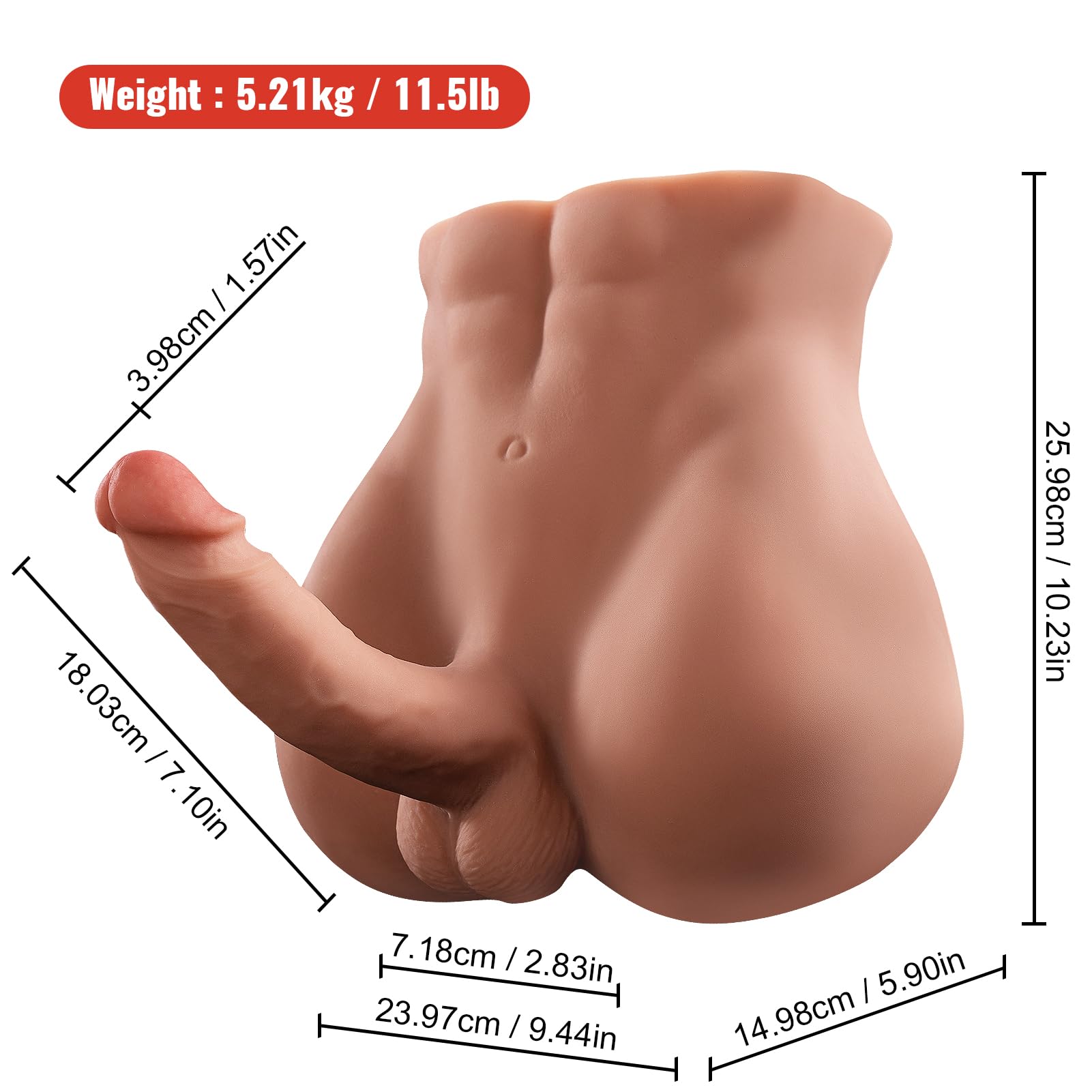 Realistic 11.5LB Male Torso Sex Doll with 7.1