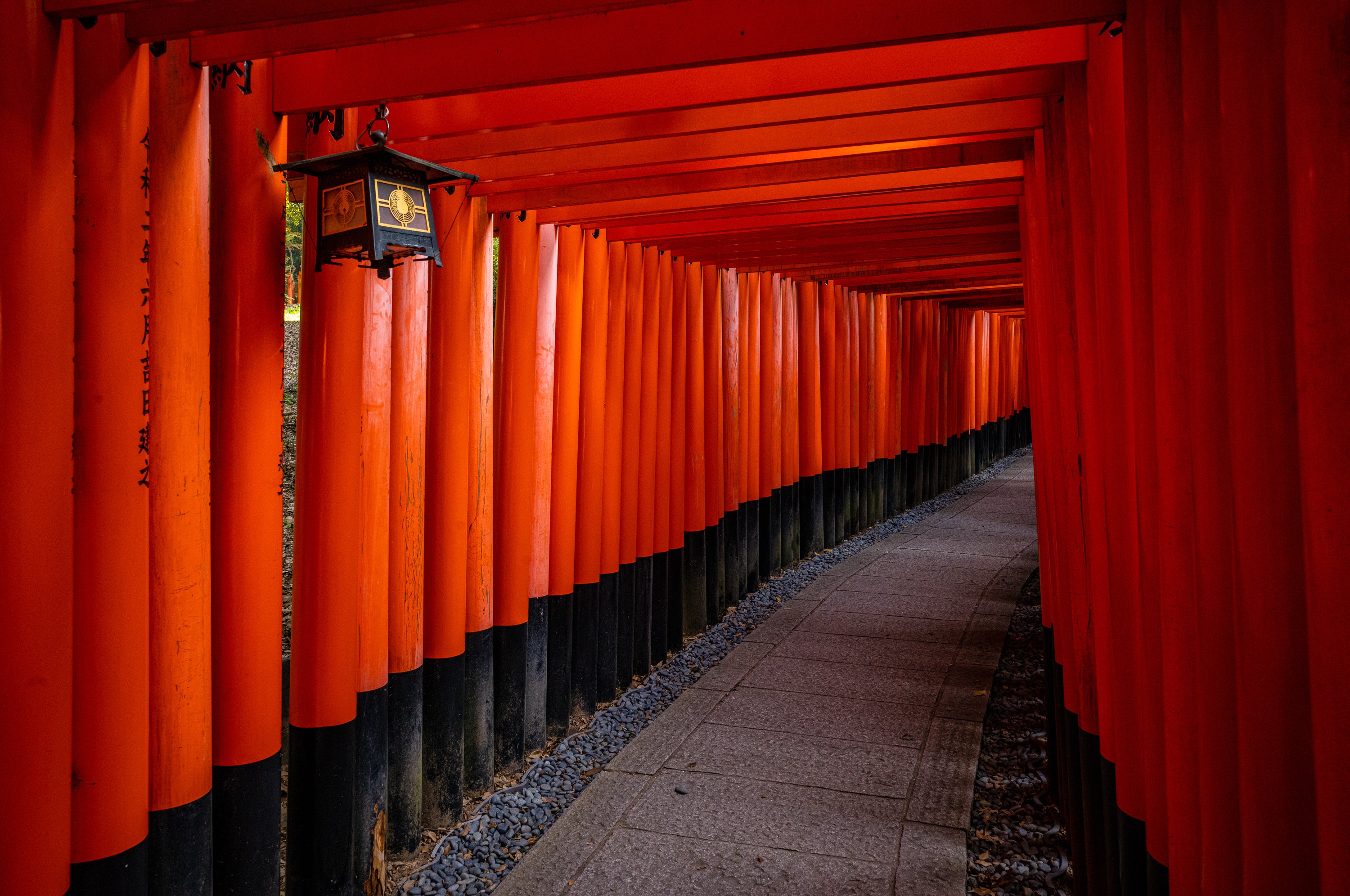 Leica Photo Adventure: Japan - November 9-18, 2025 | Photography Tour & Workshop | Capture Stunning Landscapes & Culture