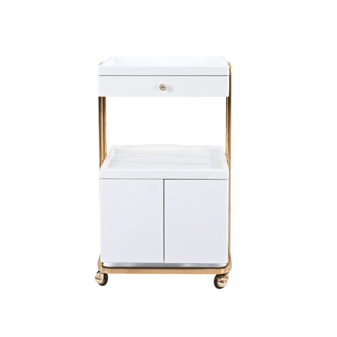 Professional Beauty Salon Rolling Trolley with Double Storage Drawers - Perfect for Hair Styling, Nail Art & Makeup Organization in Salons or Home Use