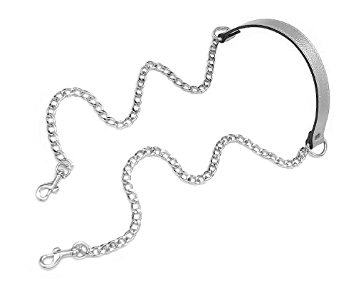 Silver-silver Buckles