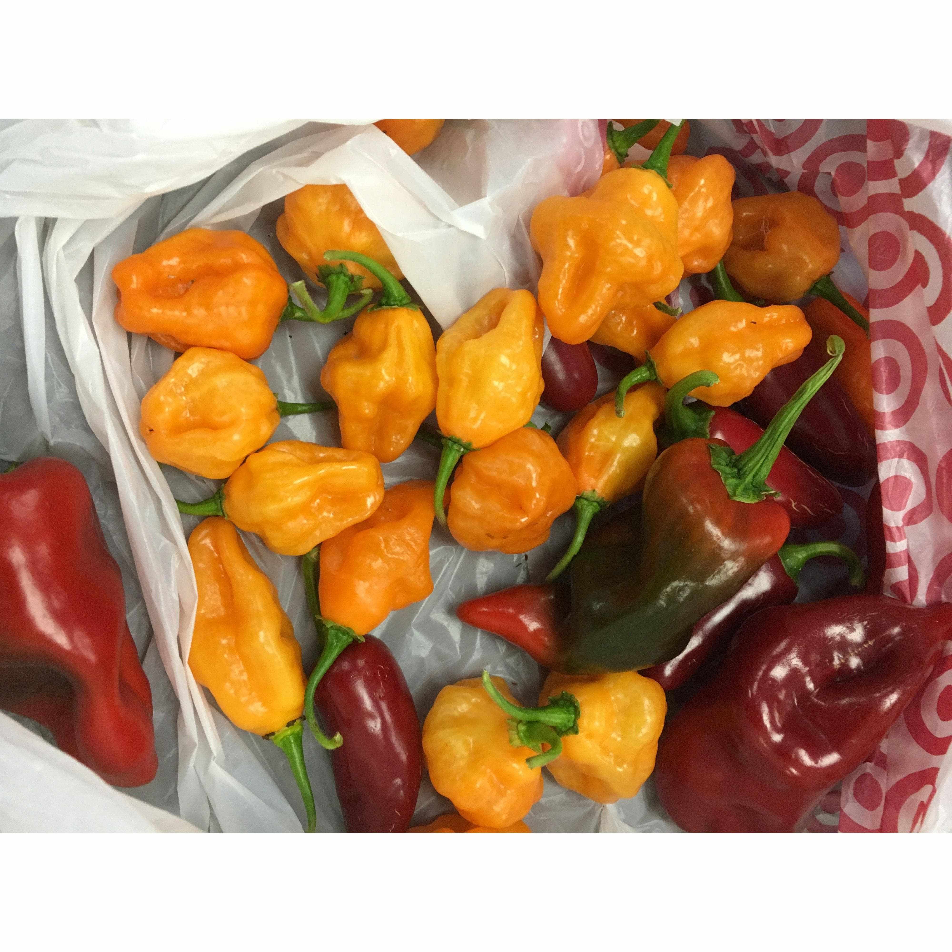 Drunken Habanero Hot Sauce - Spicy & Smoky Flavor for Grilling, Tacos & Wings | Premium Hot Sauce for BBQ, Mexican Food & Snacks