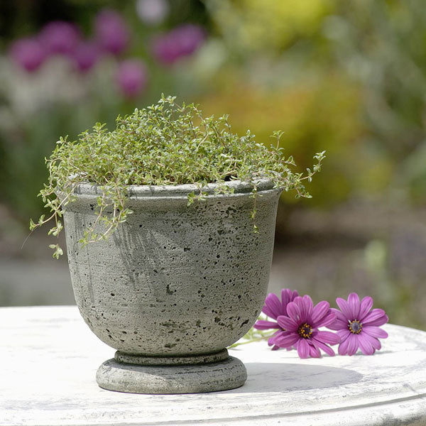 Arles Planter by Campania International - Elegant Garden Flower Pot for Outdoor & Indoor Decor