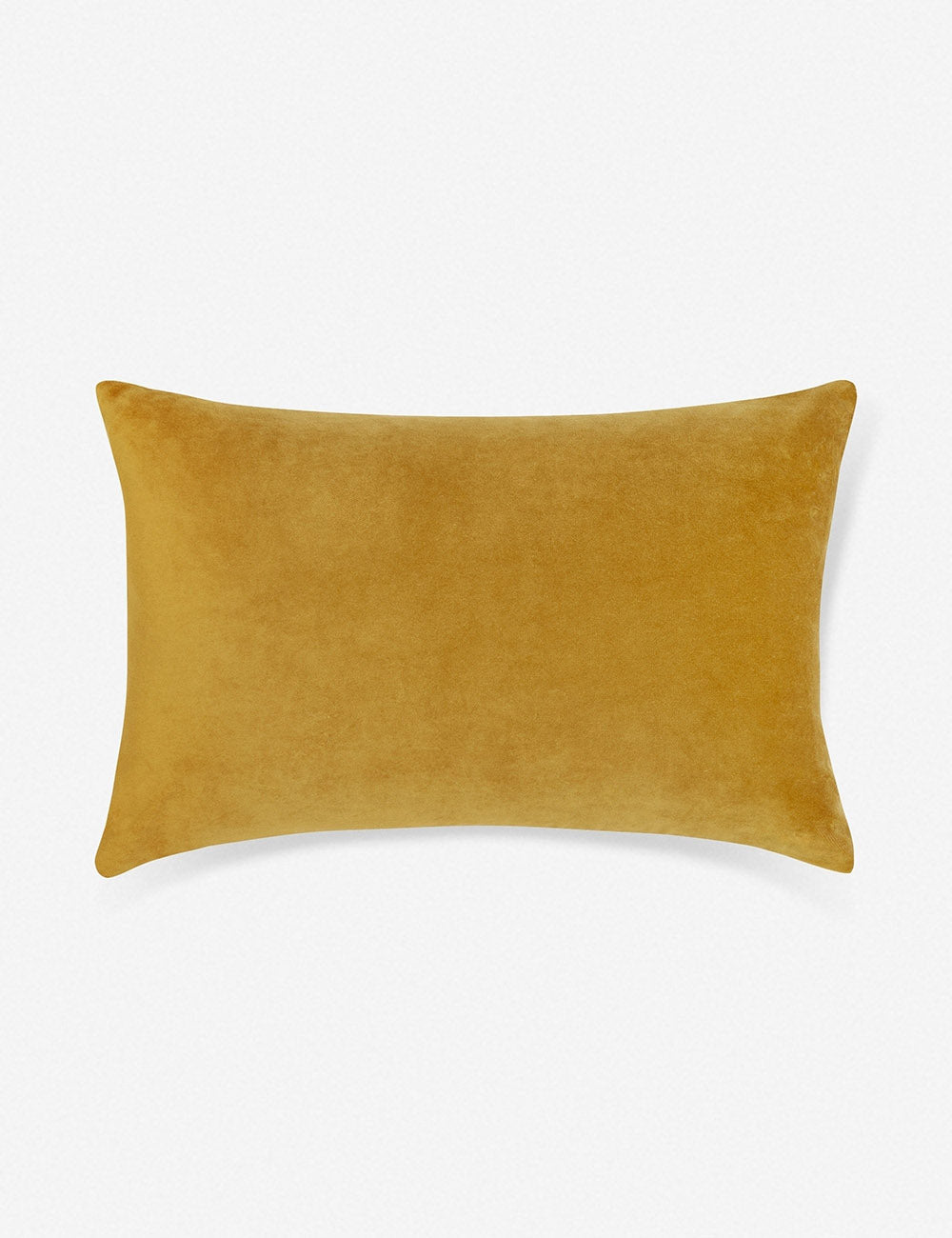 Charlotte Velvet Pillow - Soft Luxury Decorative Throw Pillow for Sofa, Bed & Couch - Elegant Home Decor Accent for Living Room, Bedroom & Nursery