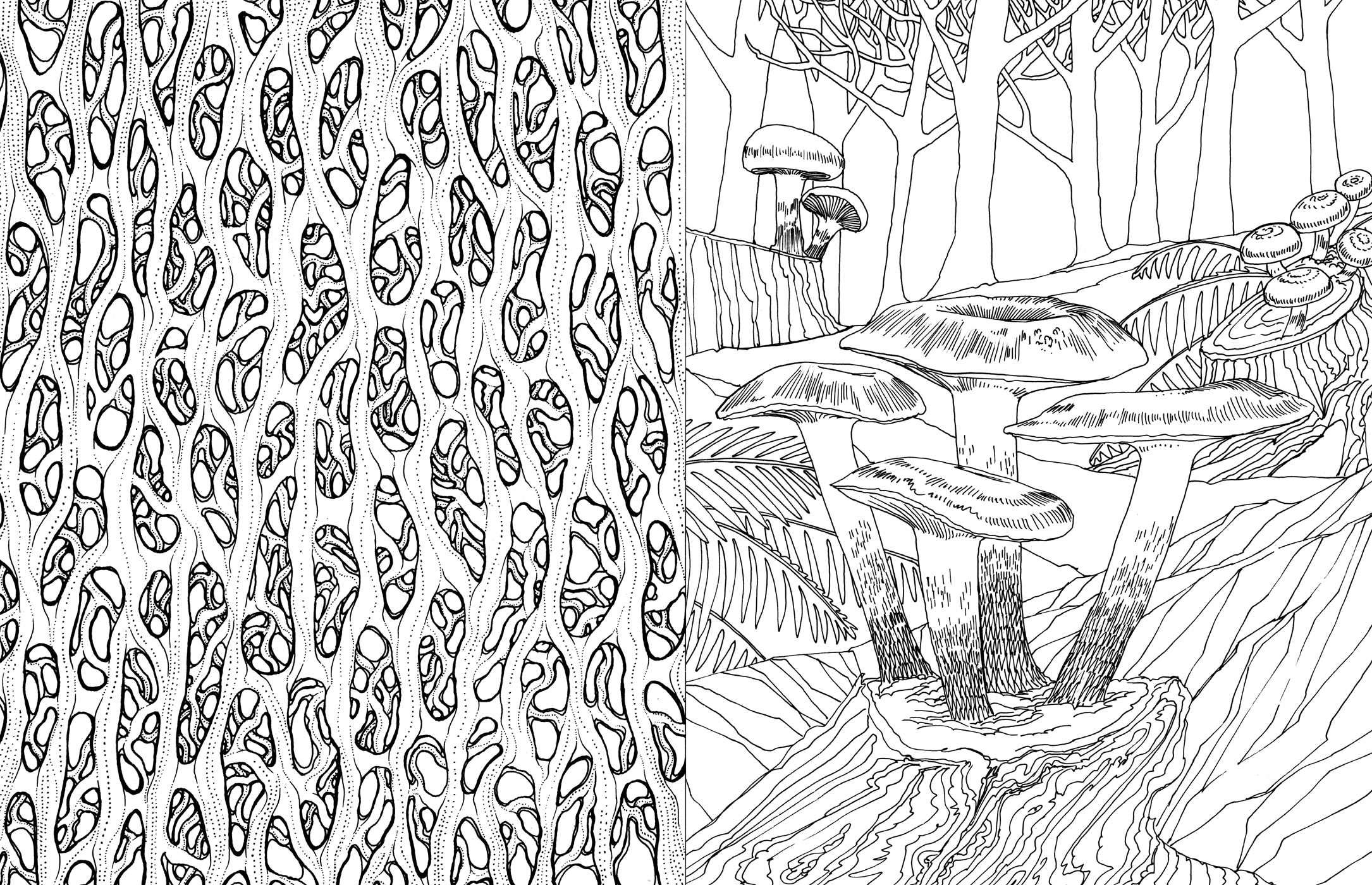 Fantastic Fungi Coloring Book for Adults - Relaxing & Stress Relief Mushroom Designs - Perfect for Meditation, Art Therapy & Nature Lovers
