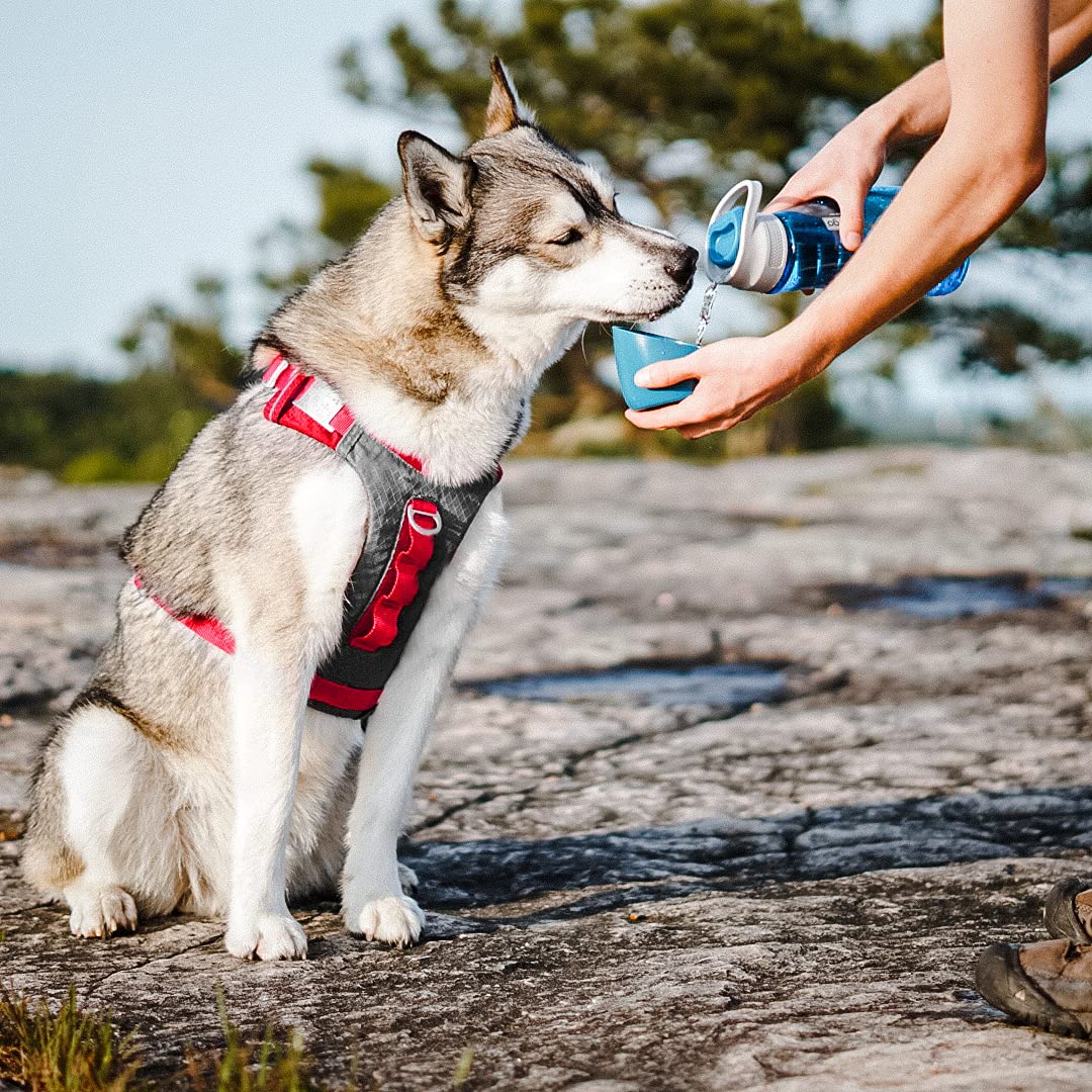 Kurgo 2-in-1 Dog Water Bottle with Bowl - 24oz Portable for Travel & Hiking