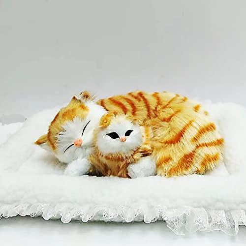 Tabby
