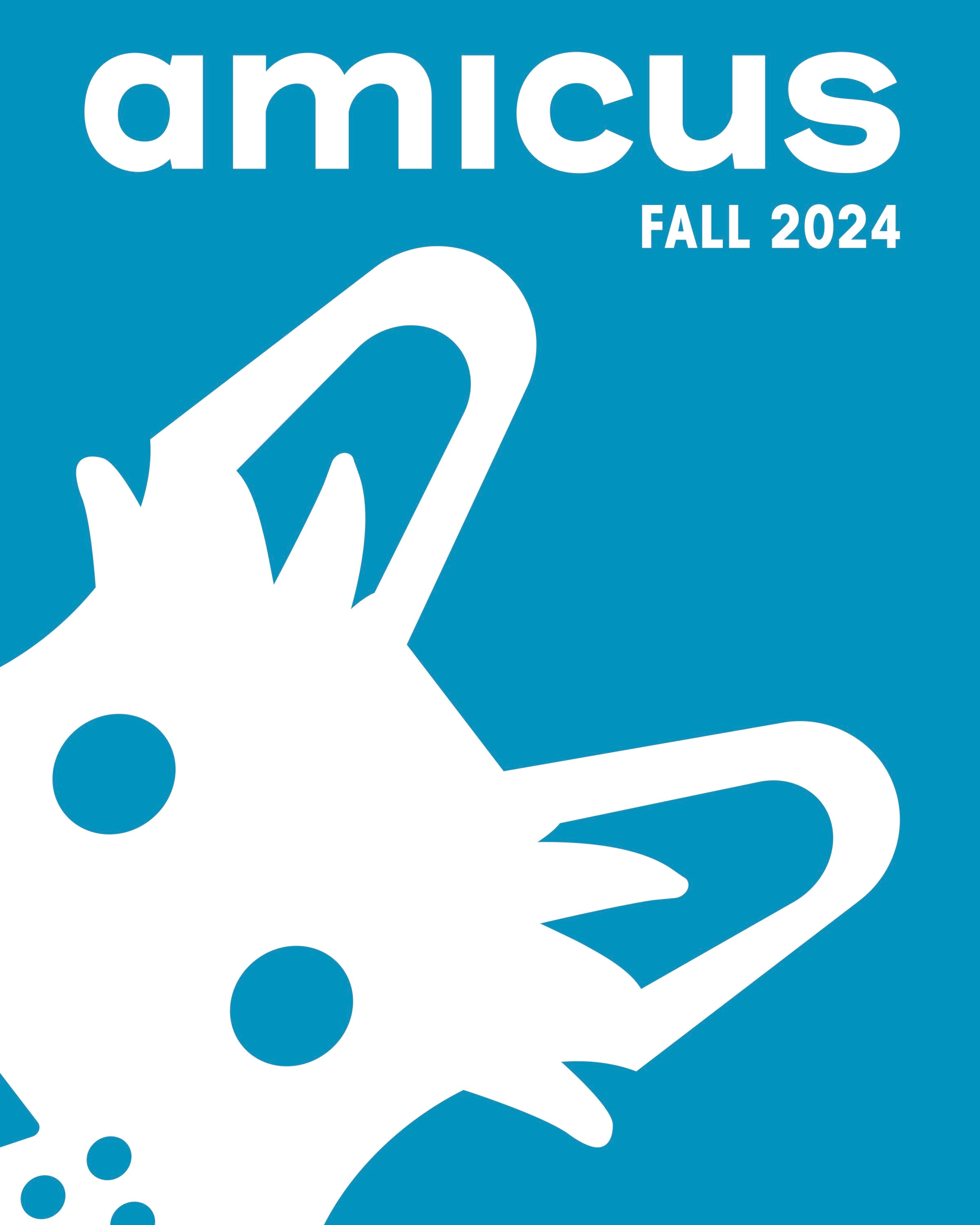 Amicus Fall 2024 Catalog - Stylish Seasonal Fashion Collection for Women | Perfect for Work, Parties & Everyday Wear