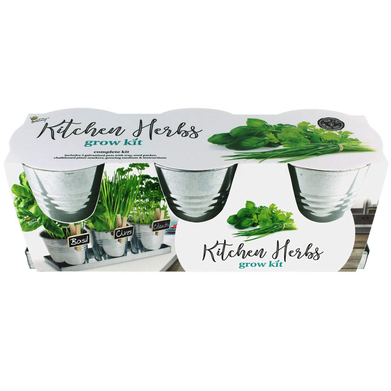 Fresh Organic Kitchen Herbs - Basil, Rosemary, Thyme & Parsley - Perfect for Cooking, Garnishing & Home Gardening - Indoor & Outdoor Use