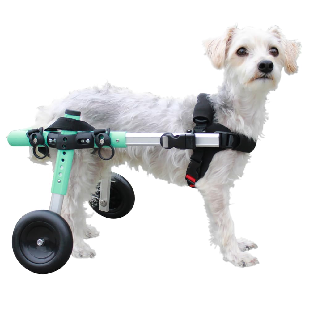 Walkin' Wheels Small Dog Wheelchair - Lightweight Pet Mobility Aid for 12-15