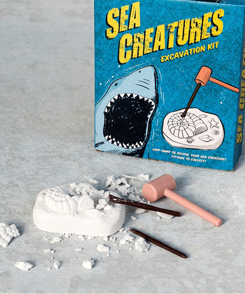 Dinosaur & Sea Creature Excavation Kit - STEM Educational Fossil Digging Toys for Kids, Science Learning Activity for Classroom & Home Schooling
