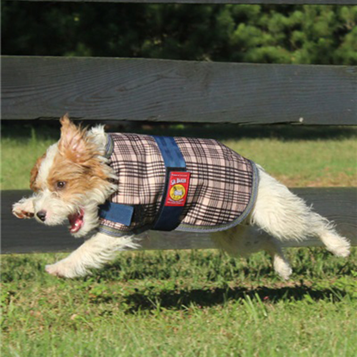 5-Pack Cozy Dog Blankets for Bakers - Soft & Warm Pet Blankets for Small, Medium & Large Dogs - Perfect for Beds, Couches & Travel Use