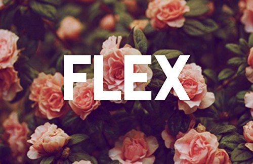 Flex