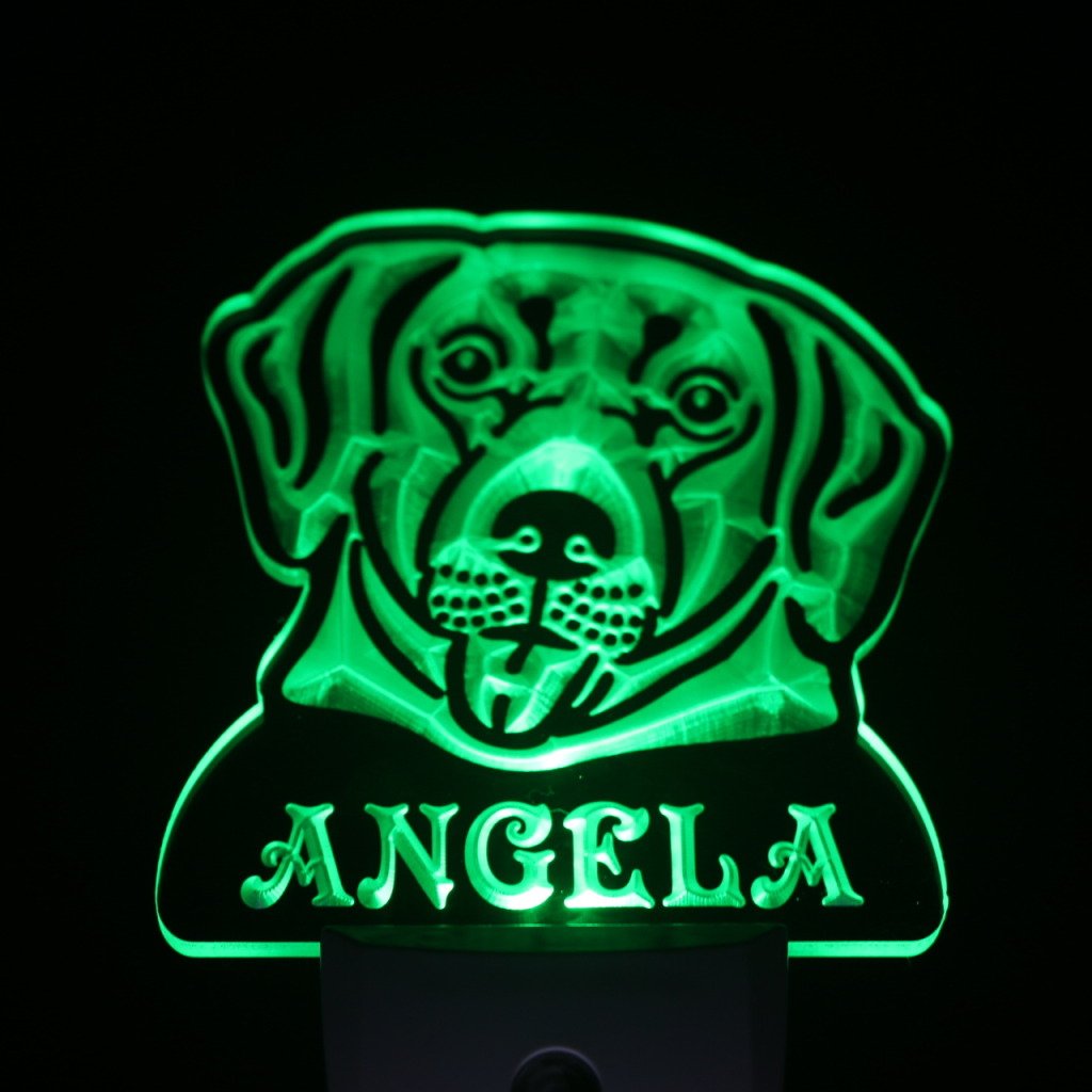 ADVPRO ws1073-tm Personalized Labrador Retriever Night Light with Name - LED Dog Sign with Day/Night Sensor | Perfect for Pet Lovers' Bedroom, Nursery & Gift Giving