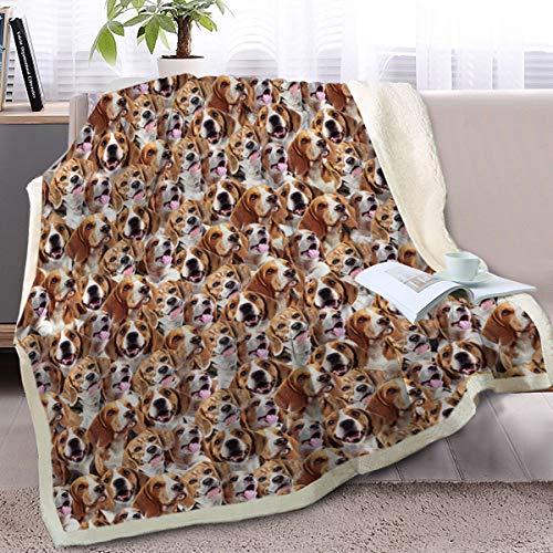 Beagles