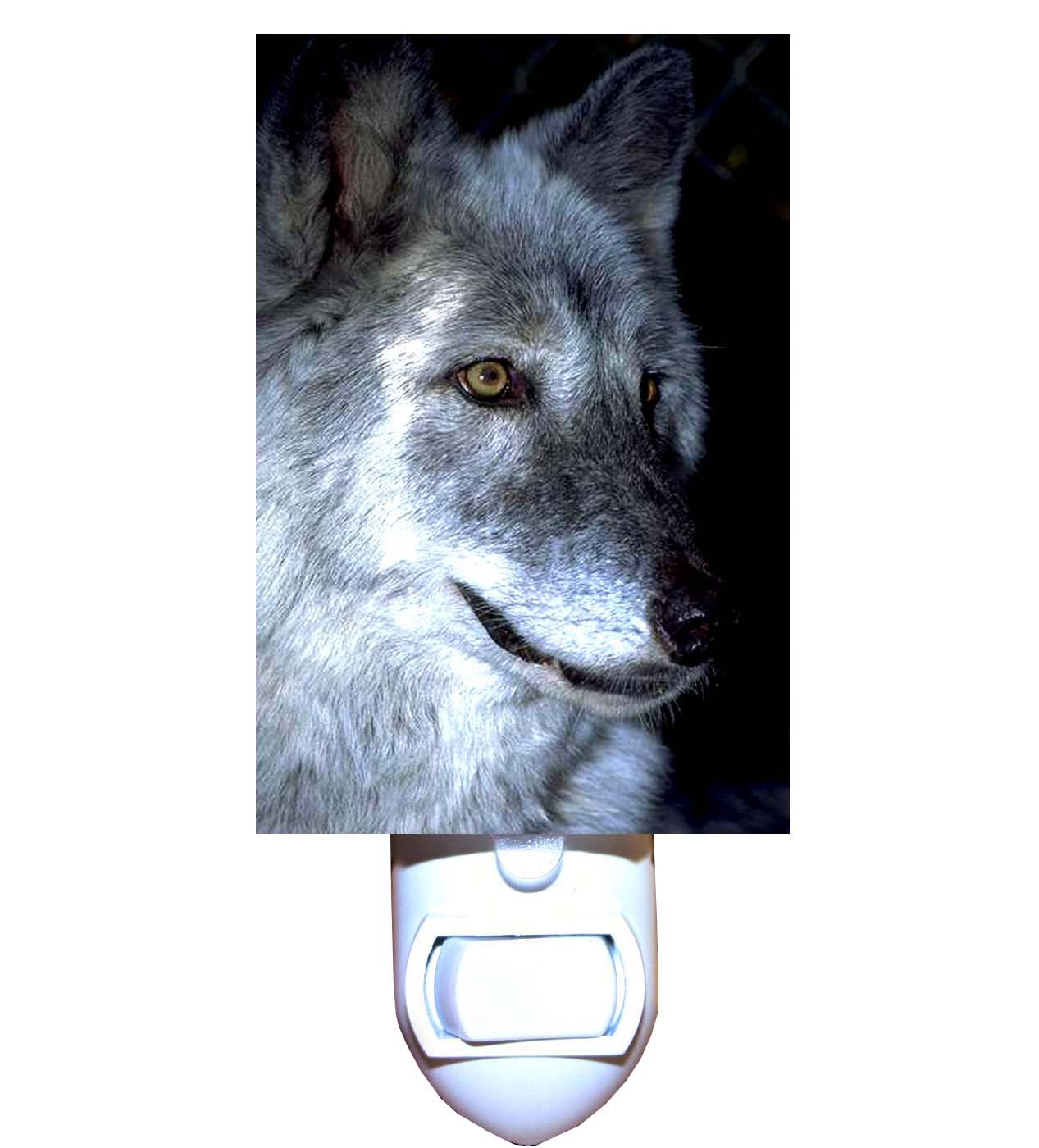 Wolf in Moonlight Decorative Night Light - Perfect for Bedroom, Nursery & Outdoor Decor